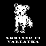 TEKNOSHOP Cute Dog tekno tričko s potiskem pánské